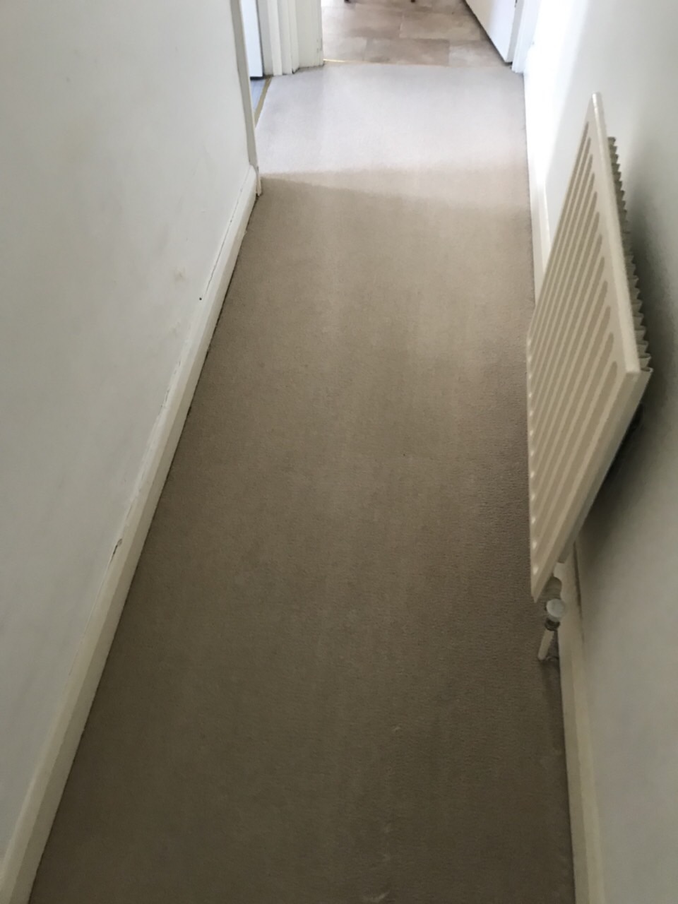 issues related with carpet